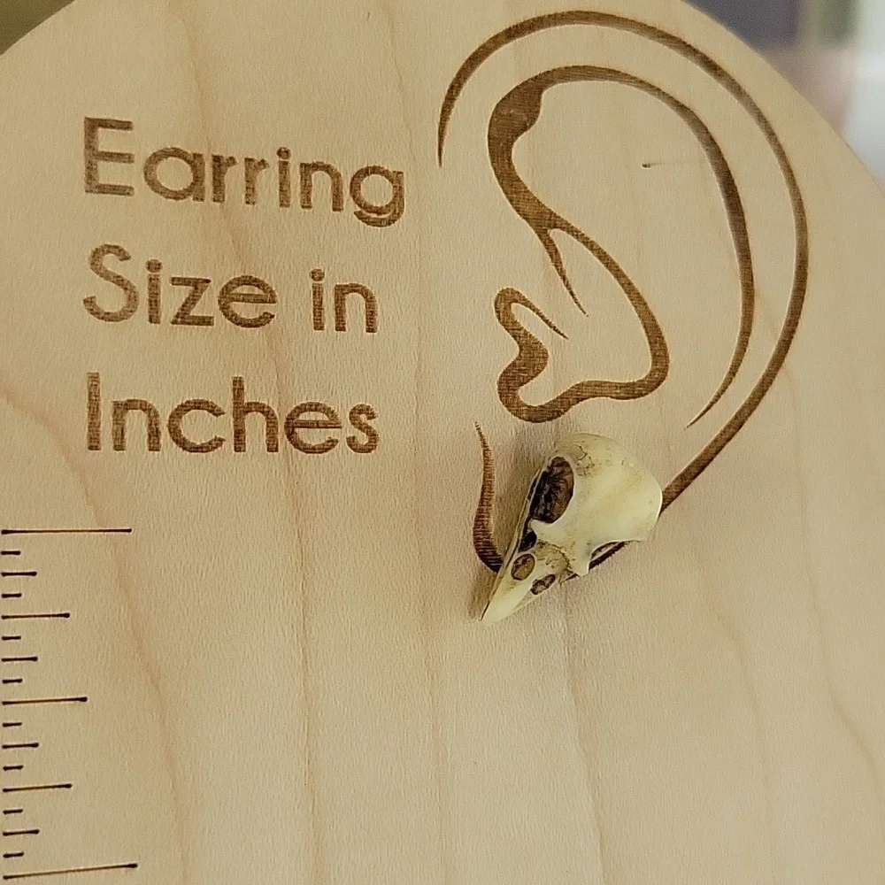 🔥LAST PAIR🔥 Realistic Poe Macabre Bird Skull Stud Earrings